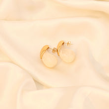 Load image into Gallery viewer, Stainless Steel Resin Geometric Shape Earrings