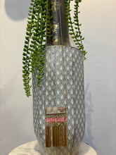 Load image into Gallery viewer, LAST CHANCE ITEMS sku 7350