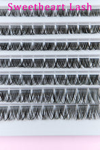 Load image into Gallery viewer, SO PINK BEAUTY Faux Mink Eyelashes Cluster Multipack