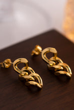 Load image into Gallery viewer, Stainless Steel Chain Earrings