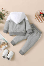 Load image into Gallery viewer, Baby Color Block Hoodie and Joggers Set