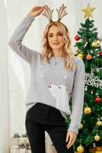 Load image into Gallery viewer, Animal Graphic Round Neck Fuzzy Sweater