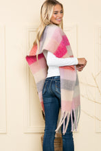 Load image into Gallery viewer, Justin Taylor Rainbow Stripe Brushed Fringe Scarf