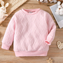 Load image into Gallery viewer, Girls Textured Long Sleeve Round Neck Sweatshirt