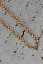 Load image into Gallery viewer, Flying High Chain Necklace