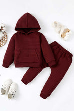Load image into Gallery viewer, Kids Textured Pocketed Hoodie and Joggers Set