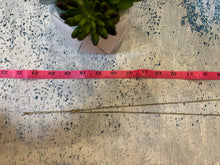 Load image into Gallery viewer, LAST CHANCE ITEMS sku 7350
