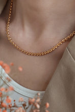 Load image into Gallery viewer, Flying High Chain Necklace
