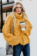 Solid Long Sleeve Turtle Neck Sweater
