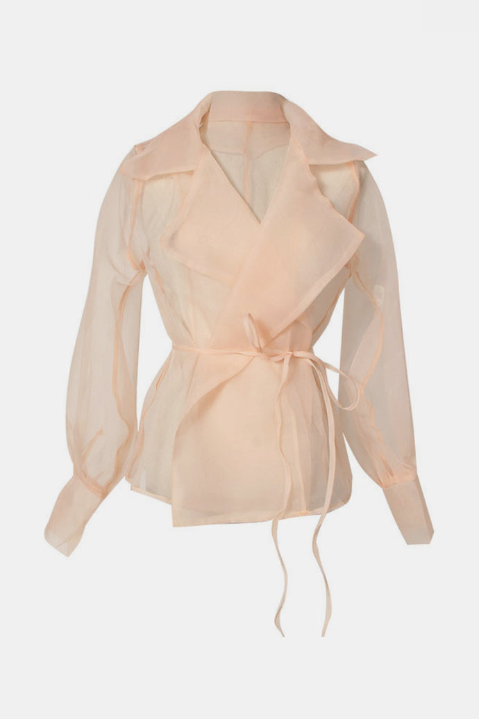 Dream Architect Sheer Tie Waist Lapel Collar Outwear