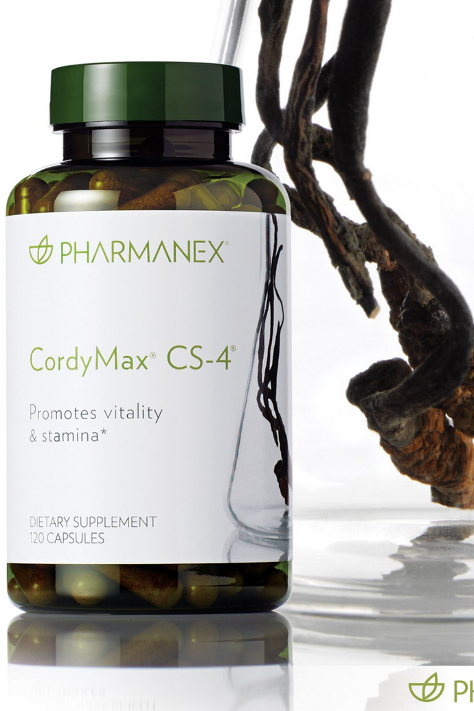 CordyMax Cs-4® l DIBS CORDY
