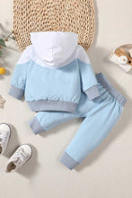 Load image into Gallery viewer, Baby Color Block Hoodie and Joggers Set

