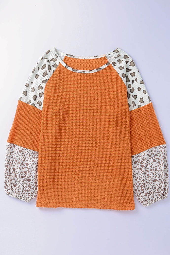 Leopard Contrast Waffle Knit Top