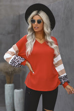 Load image into Gallery viewer, DIBS 6060
