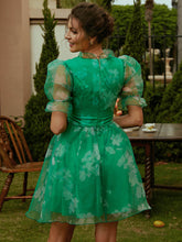 Load image into Gallery viewer, Frill Trim Mesh Flounce Sleeve V-Neck Mini Dress
