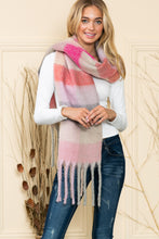 Load image into Gallery viewer, Justin Taylor Rainbow Stripe Brushed Fringe Scarf

