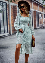 Load image into Gallery viewer, DIBS 7009
