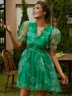 Frill Trim Mesh Flounce Sleeve V-Neck Mini Dress